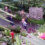 Wałbrzyska "Palmiarnia"