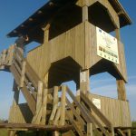 Wieża widokowa niedaleko Kamienia Małego